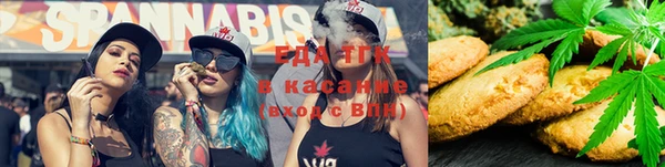 ПСИЛОЦИБИНОВЫЕ ГРИБЫ Абаза