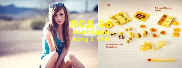 ПСИЛОЦИБИНОВЫЕ ГРИБЫ Абаза
