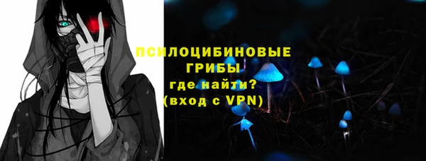 ПСИЛОЦИБИНОВЫЕ ГРИБЫ Абаза