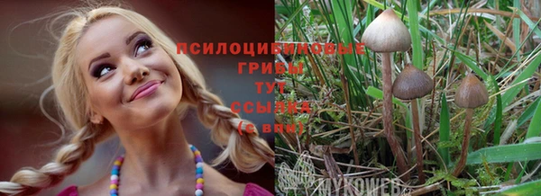 apvp Алексин